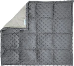 Harkla Weighted Lap Pad For Kids (grey). Fixed Price $59.70.