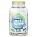 Maju Superfoods, Wild Sea Moss, Extra Strength, 120 Capsules-worldwide. Fixed Price $150.26.