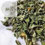 Organic Damiana Leaf Turnera Diffusa Dried Herb Sexual Desire High Stimulant 1OZ. Fixed Price $12.49.