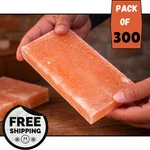 Himalayan Pink Salt Tiles 8X4X1 Pack Of 300 Bricks For Spa Sauna Wall Decor. Fixed Price $2399.99.