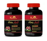 Gout Relief - Uric Acid Formula 1430MG Natural Anti Inflammatory 2 Bottles. Fixed Price $33.63.