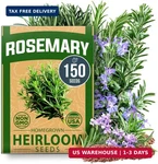 Home Grown Non Gmo Rosemary Seeds Pack - 150 High Germinating Heirloom Herb. Fixed Price $14.28.
