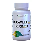 Hallusa Natural Boswellia Serrata 600MG Anti-inflammatory & Pain Relief, Caps. Fixed Price $22.48.