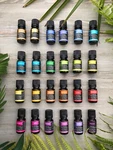 Plantlife Essential Oil Blends: 100% Pure For Natural Wellness. Fixed Price $9.25.
