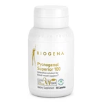 Pycnogenol Superior 100 Gold 30 Capsules Biogena. Fixed Price $68.99.