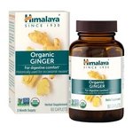 Himalaya Organic Ginger, 60 Day Supply - Digestive Health Supplemen... Fast Ship. Fixed Price $28.99.