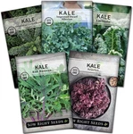 Sow Right Seeds Kale Collection For Planting Non-gmo Heirloom Packet Wi. Fixed Price $16.99.