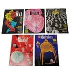 Kids Discover Magazine Lot 5 Body Systems Homeschool Dna Heart Blood Eyes. Fixed Price $10.97.