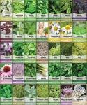 35 Medicinal & Culinary Herb Seeds Variety Pack Heirloom Non-gmo Brown. Fixed Price $44.22.