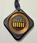 Q-link Classic SRT-2 Black Diamond Pendant Acrylic Holistic Energy Necklace. Fixed Price $65.00.