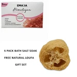 5 Pack Salt Spa Gift Set - Luxury Himalayan Pink And Dead Sea Bath Soak. Fixed Price $27.99.