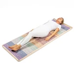 Healthyline 7428 Photon Pemf Infrared Heating Pad Reiki Chakra Crystal Bio Mat. Fixed Price $1799.00.