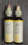 Bach Original Flower Remedies Gorse Have Hope 0.7 Oz 20ML Exp. 2/2027. Fixed Price $34.95.