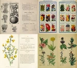 Herbs Botany Botanica Plants Herbal Remedy Medicine VOL.1 - 102 Old Books On Dvd. Fixed Price $14.99.