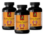 Metabolism Booster Pills - Kidney Support Complex Antioxidant 3B. Fixed Price $53.47.