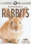 Remarkable Rabbits Dvd Video Documentary Wild & Domestic Hares Survival Habitat. Fixed Price $7.99.