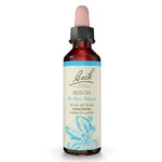 Bach Original Flower Remedies Beech More Tolerant 0.7 Oz 20ML. Fixed Price $18.65.