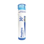Boiron Homeopathic Dizziness Relief Non Drowsy Quick Dissolving Pellets 80 Count. Fixed Price $11.09.