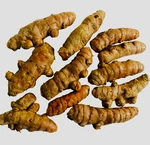 10PCS Tumeric Roots For Plant-curcuma Longa-arthritis Pain,make Tea,cooking. Fixed Price $12.99.