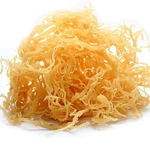 Rastarafi Irish 5LB (bulk) Raw Wildcrafted Superfood. Fixed Price $79.95.