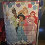 35 X 46.5 Sensory Child Disney Princess Weighted Blanket. Fixed Price $17.99.