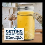 1 Tablespoon Live Organic Water Kefir Grains With Sugar Blend. Fixed Price $25.00.