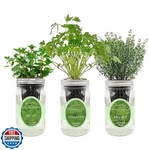 Environet Hydroponic Growing Kit Set, Self-watering Mason Jar Her. Fixed Price $70.89.