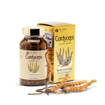 Fine Japan Cordyceps Mushroom 120 Capsules Energy, Stamina, Immune Support. Fixed Price $45.00.