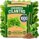 Home Grown 1000+ Cilantro Seeds For Planting Indoors Outdoors Nongmo Heir.... Fixed Price $17.35.
