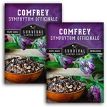 Comfrey Seeds For Planting - Symphytum Officinale Medicinal Green, Purple. Fixed Price $19.49.