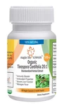 Organic Tinospora Cordifolia 20:1 Extract Capsules Giloy Guduchi. Fixed Price $81.56.