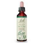 Bach Original Flower Remedies Walnut Adapt To Change 0.7 Oz 20ML. Fixed Price $18.65.