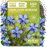 Kviter 150 Borage Seeds (borago Officinalis) - Blue Strawflower, Edible. Fixed Price $15.86.