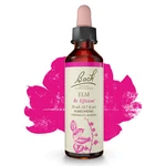 Bach Original Flower Remedies Elm Be Efficient 0.7 Oz 20ML. Fixed Price $18.65.