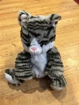 Warm Pals Microwavable Lavender Scented Plush Stuffed Animal - Kiki Kitten Cat. Fixed Price $12.00.