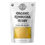Kombucha Fba LEPAZC5747 1 X Organic Scoby-live Culture. Fixed Price $12.49.