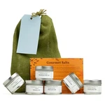 Gourmet Salt Gift Bag Awesome For Foodies & Cooks. Fixed Price $40.99.