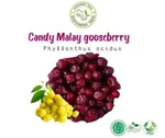 Dried Candy Red Fruit Phyllanthus Acidus Candied Cermei Sweet Sour Cereme. Fixed Price $51.99.