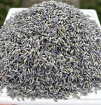 Dried Grosso Lavender Buds 1 Lb Strong Fragrance Sequim Wa Farm-grown. Fixed Price $17.50.