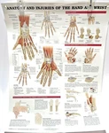 Lot Of 2! Anatomy Injury Hand Wrist Anatomical Charts - Laminated. Fixed Price $29.99.
