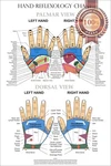 Hand Reflexology Chart System Anatomical Diagram Guide Print Premium Poster. Fixed Price $78.94.