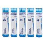 5-PACK Calcarea Carbonica By Boiron 30C Cradle Cap Approx. 80 Pellets Exp 07/25. Fixed Price $18.99.