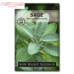 Sow Right Seeds Sage For Planting Non-gmo Heirloom Packet Green. Fixed Price $8.99.