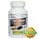Chaga Mushroom & Shilajit Supplement 90 Caps Siberian Natural Immune Support. Fixed Price $32.99.
