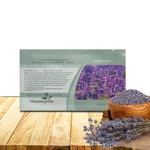 Outsidepride English Lavender - 5000 Pcs Perennial, Seeds,. Fixed Price $12.99.