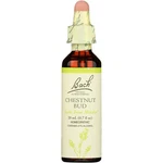 Bach Chestnut Bud Homeopathic Flower Remedy Dropper Essence 20ML. Fixed Price $24.99.