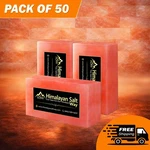 Himalayan Pink Salt Bricks 8X4X2 Build Spa Sauna Wall & Home Decor Pack 50. Fixed Price $550.00.
