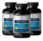 Appetite Suppressant Garcinia Cambogia Cardiovascular Health Natural Care 3B. Fixed Price $54.70.
