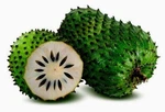Soursop Guanabana Graviola Guyabano Annona Muricata Custard Apple 10 Fresh Seeds. Fixed Price $8.52.