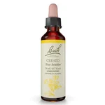 Bach Original Flower Remedies Cerato Trust Intuition 0.7 Oz 20ML. Fixed Price $18.65.